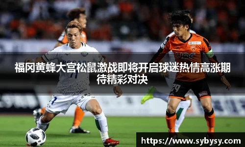免费体育直播